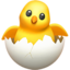 hatching_chick