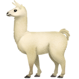 lama
