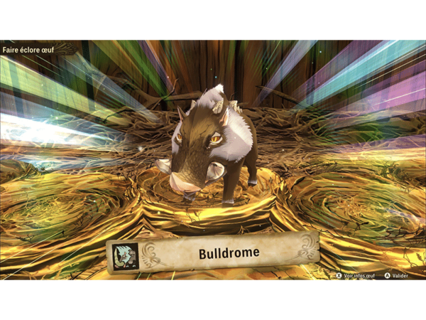 Bulldrome