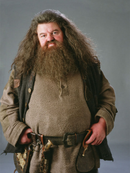 Rubeus Hagrid – Prof de Soins aux Créatures Magiques