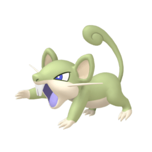 Rattata