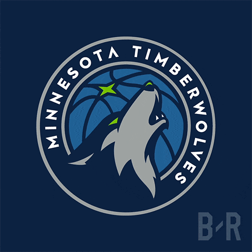 Timberwolves du Minnesota