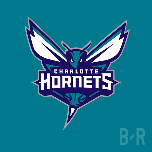 Hornets de Charlotte